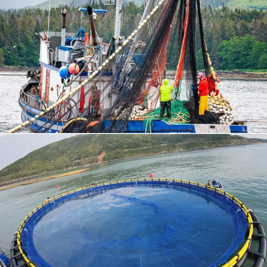 hmpe fishing nets applicatons