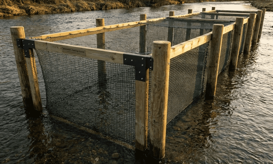 Duracordix – Ihr zuverlässiger Lieferant für Hochleistungs-Kunststoffseile und -netze | Die 4 wichtigsten Fischkäfigtypen für die Aquakultur A durable timber-framed aquaculture cage system installed in a shallow river, featuring green high-strength netting and reinforced corner brackets.